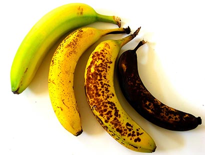 Stages of Bananas