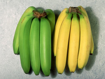 Unripe and Ripe Bananas