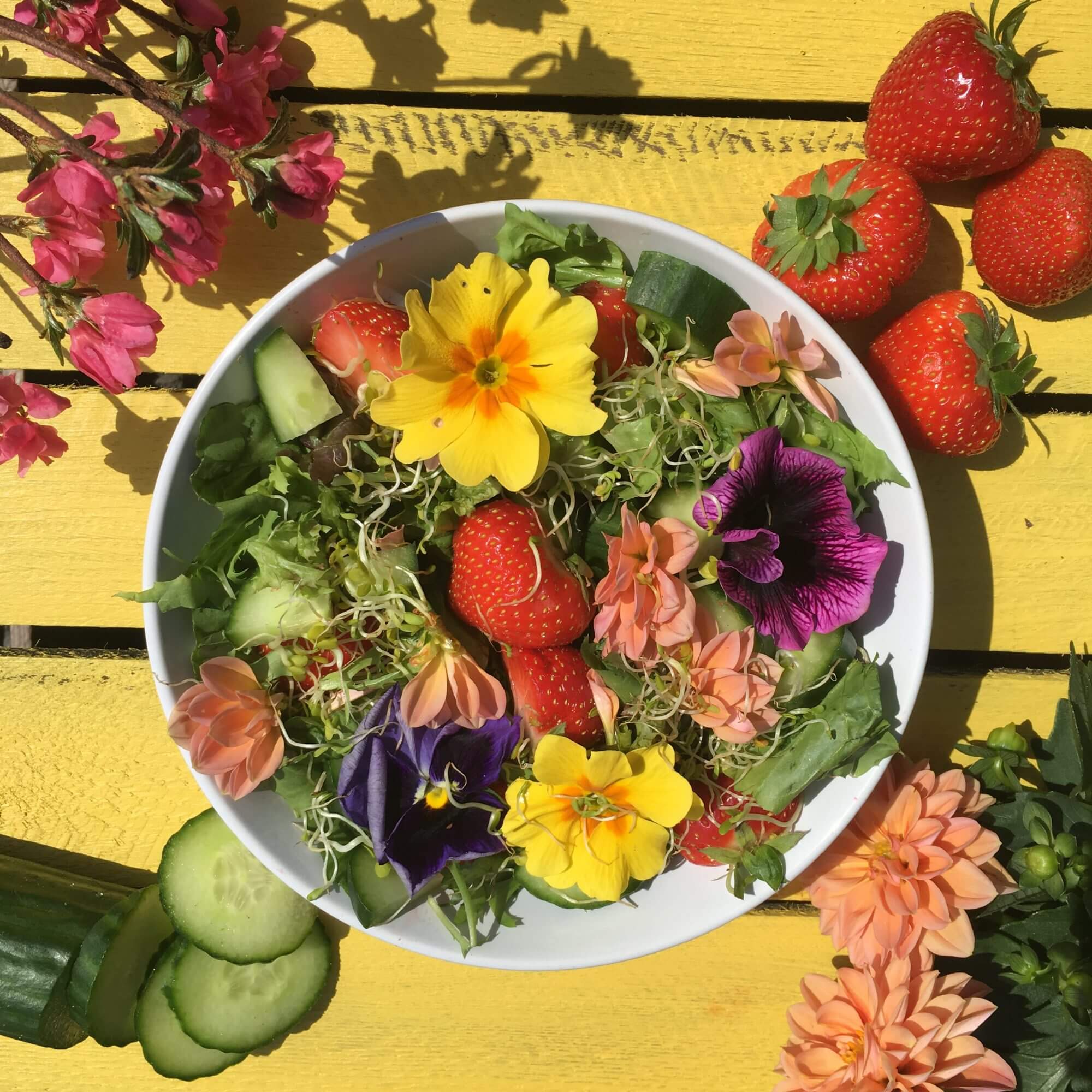 Summer Flower Salad