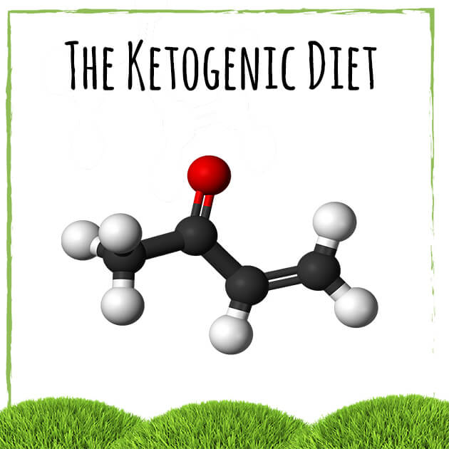 Ketogenic Diet