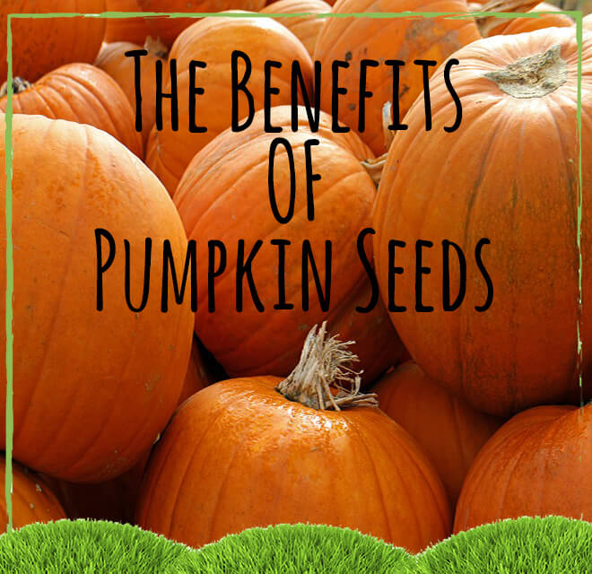 Health benefits of pumpkin seeds