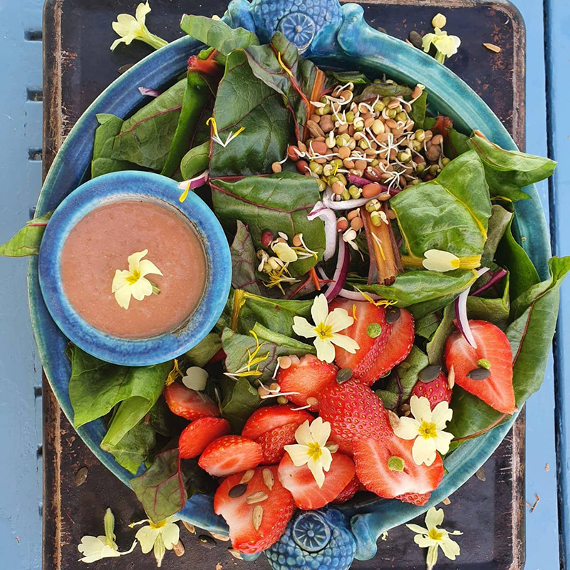 Seasonal Salad with primrose flowers & strawberry & avocado dressing